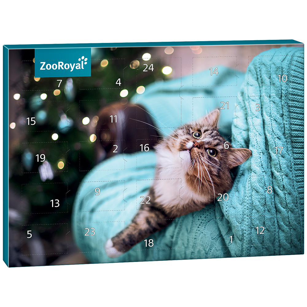 Bild: ZooRoyal Adventskalender Katze 