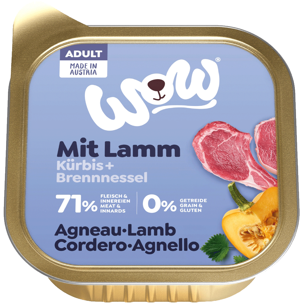 Bild: WOW Adult mit Lamm und Kürbis 