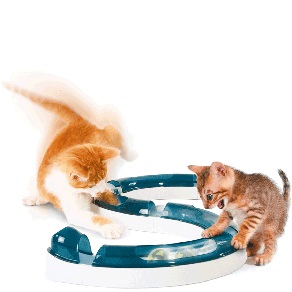 Bild: catit Design Senses Spielschiene für Katzen 