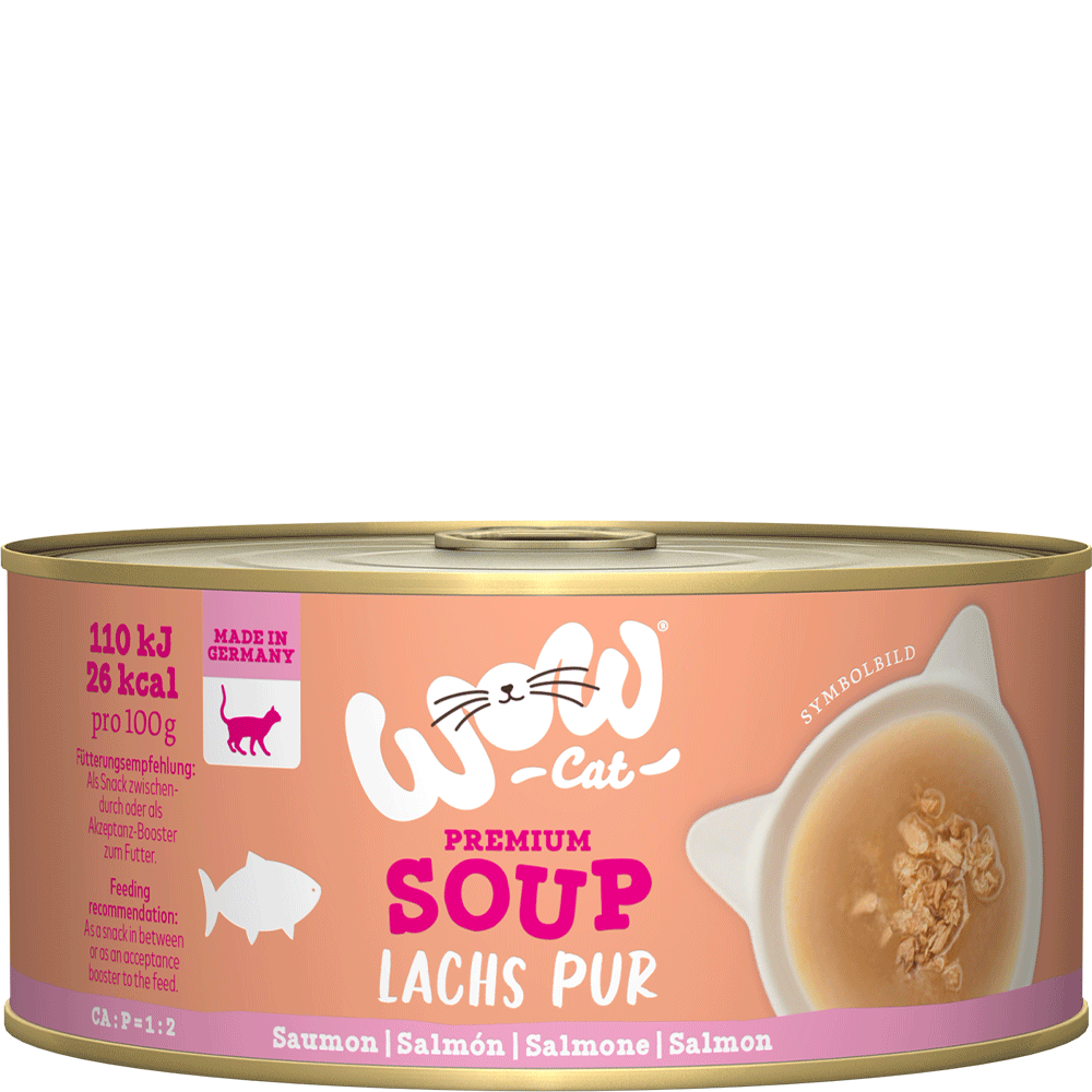 Bild: WOW Cat Soup Lachs Pur 