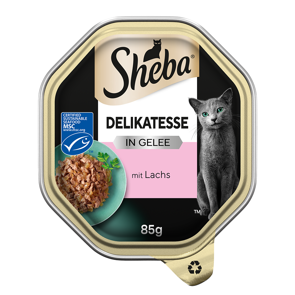 Bild: Sheba Delikatesse in Gelee mit Lachs 