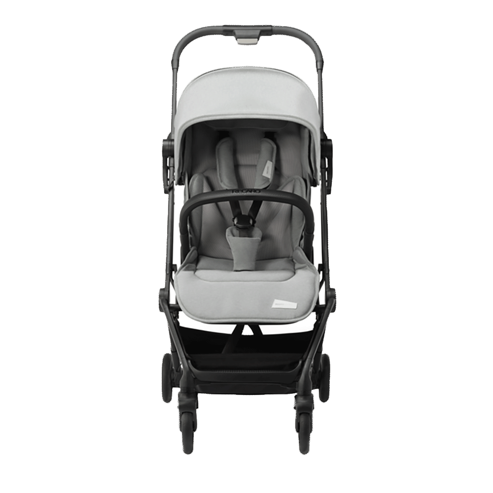 Bild: RECARO Lexa Elite Kinderwagen Silent Grey