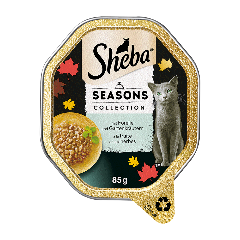 Bild: Sheba Seasons Collection mit Ente, Forelle, Lamm und Huhn 