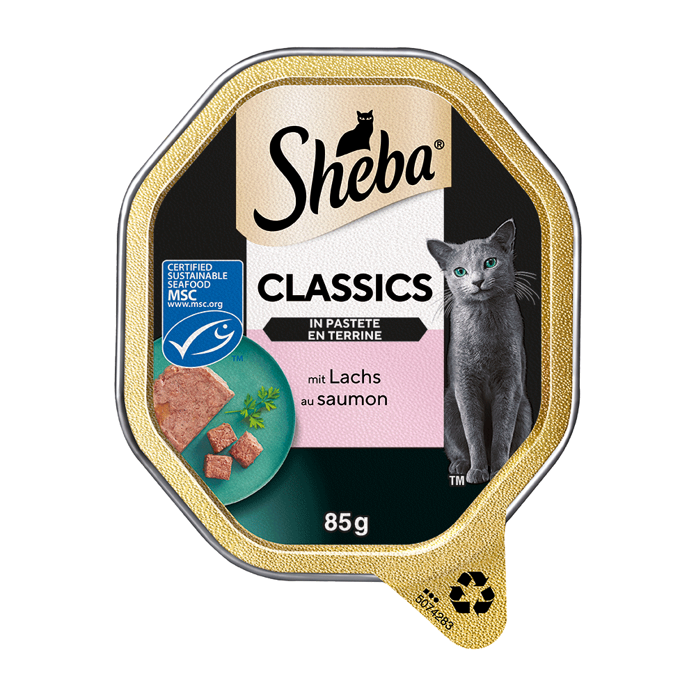 Bild: Sheba Classics in Pastete mit Lachs 