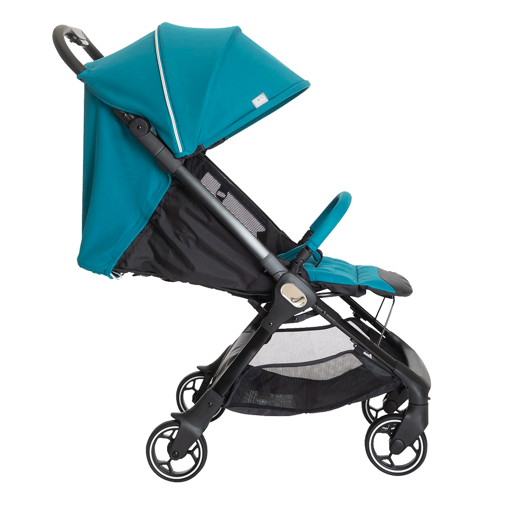 Bild: chicco WE Kinderwagen Balsam